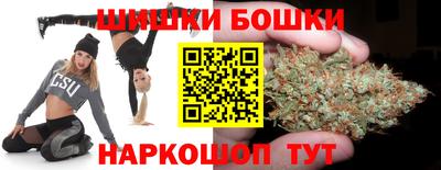 мяу мяу мука Ачхой-Мартан