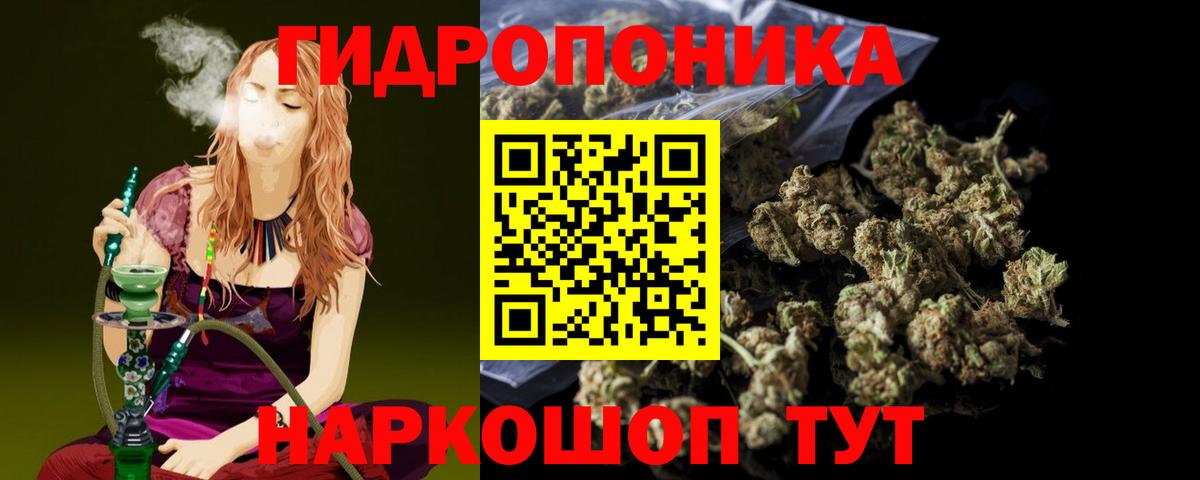 Бошки Шишки тримм  Вход с VPN  Горячий Ключ  Каннабис OG Kush  Марихуана семена 